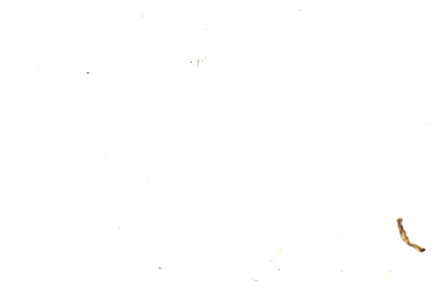 Image 59
